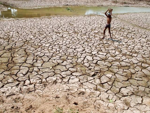 256districtsaffectedbydrought:govttellssc